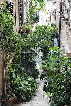 Old Town E * دوبروفينك